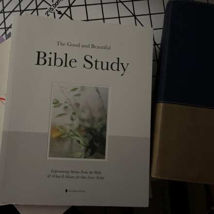 Review Image - The Good and Beautiful Bible Study - Volume 1