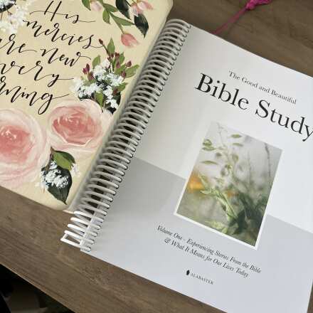 Review Image - The Good and Beautiful Bible Study - Volume 1