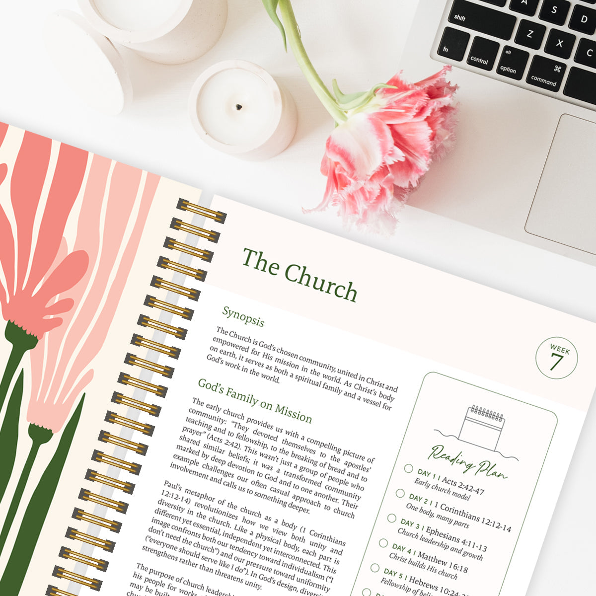 A week inside The Bible in a Year showing the reading plan