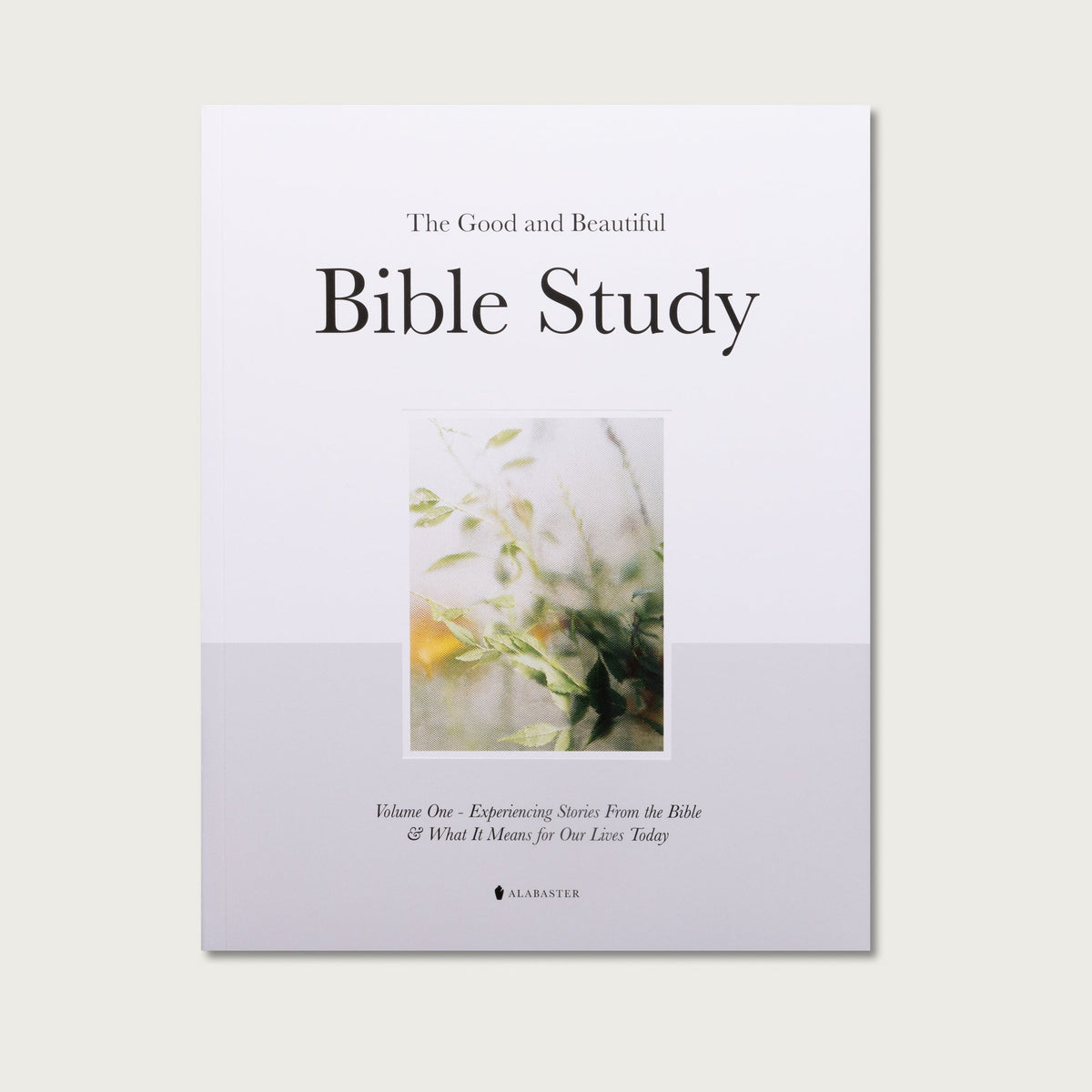 The Good & Beautiful Bible Study