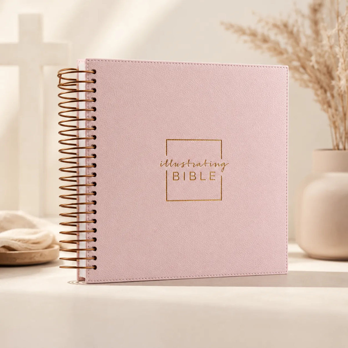 Illustrating Bible — cover