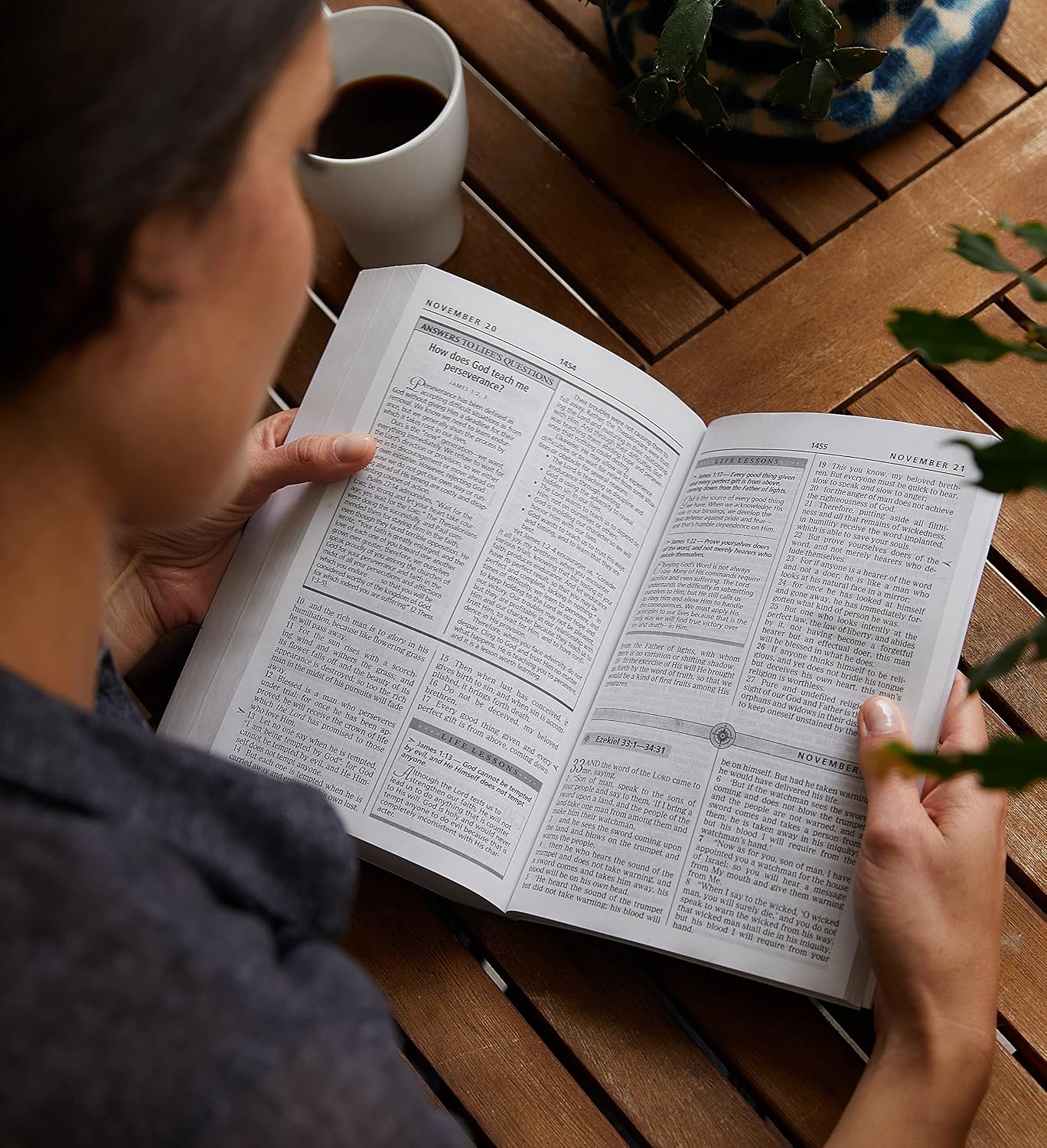 Inside the Life Principles Daily Bible