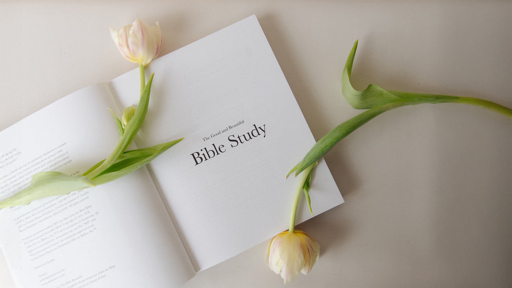 Guided reading, synopsis, and reflection questions