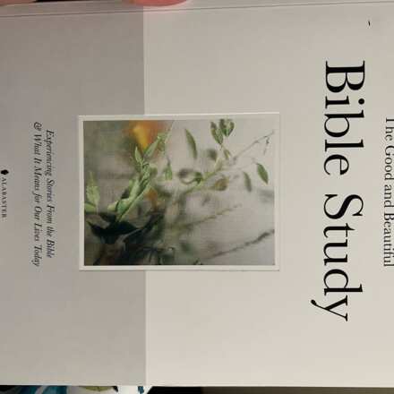 Review Image - The Good and Beautiful Bible Study - Volume 1
