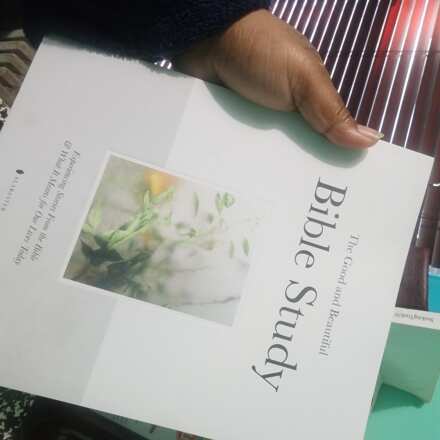 Review Image - The Good and Beautiful Bible Study - Volume 1
