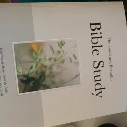 Review Image - The Good and Beautiful Bible Study - Volume 1