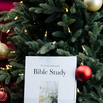 Review Image - The Good and Beautiful Bible Study - Volume 1