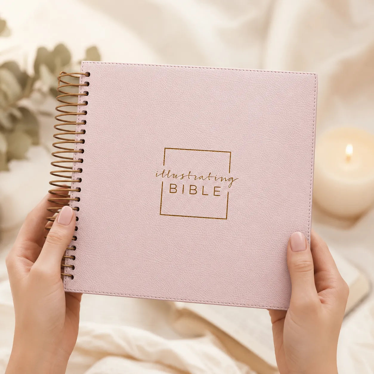 Illustrating Bible cover