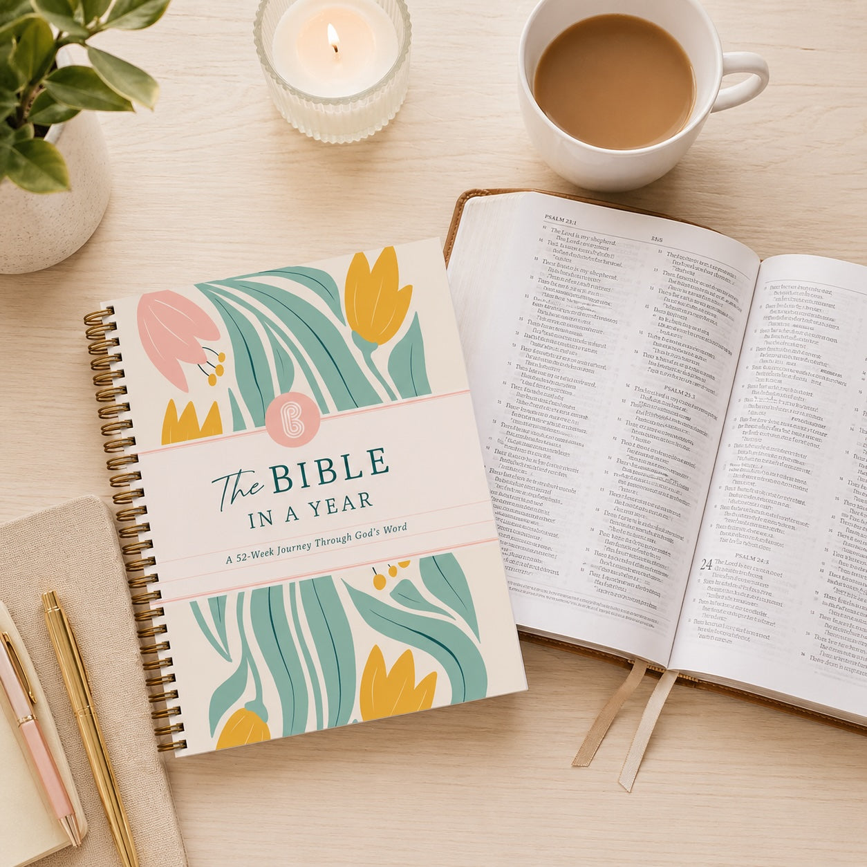 The Bible In A Year product view 6
