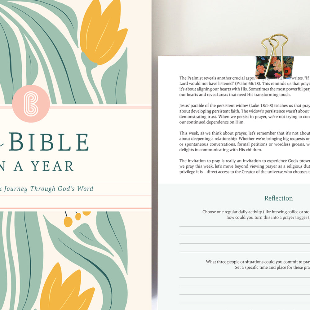 The Bible In A Year product view 8